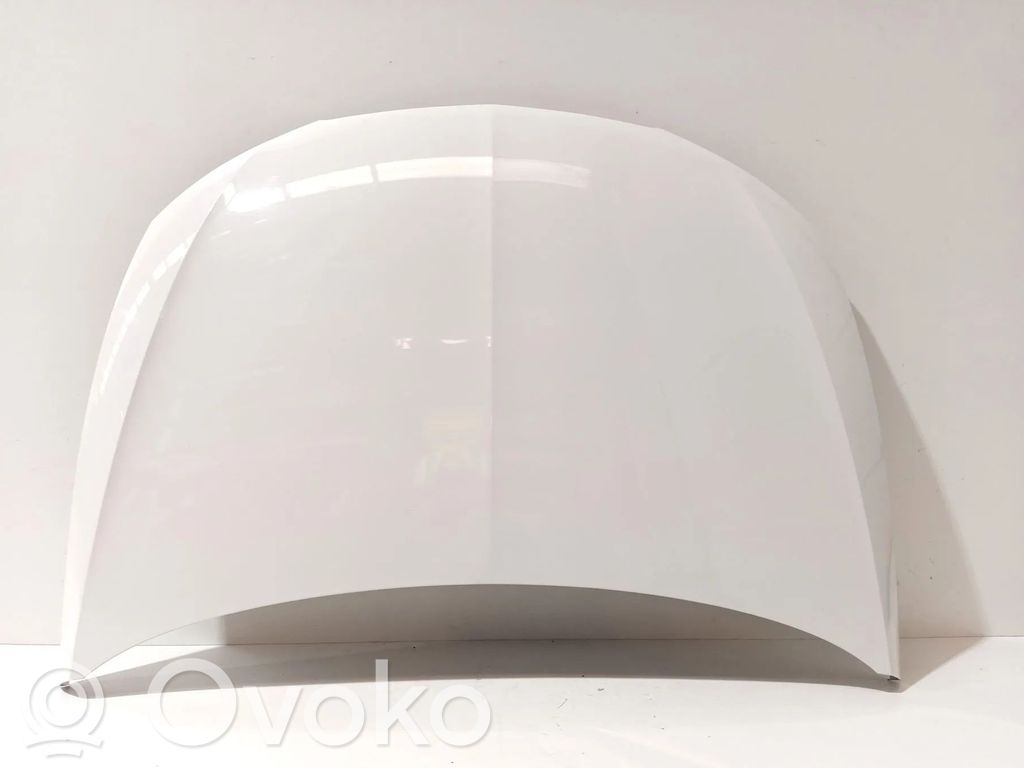 Dzinēja pārsegs (vāks)   5F0823031B