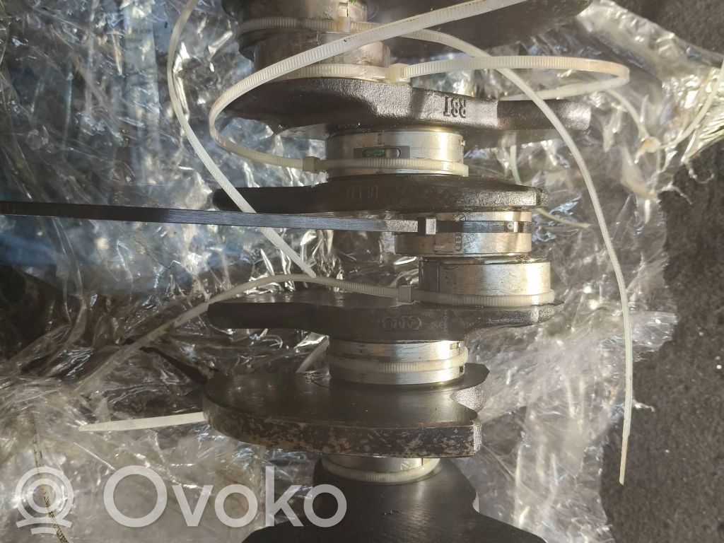 Kloķvārpsta   06E101Q