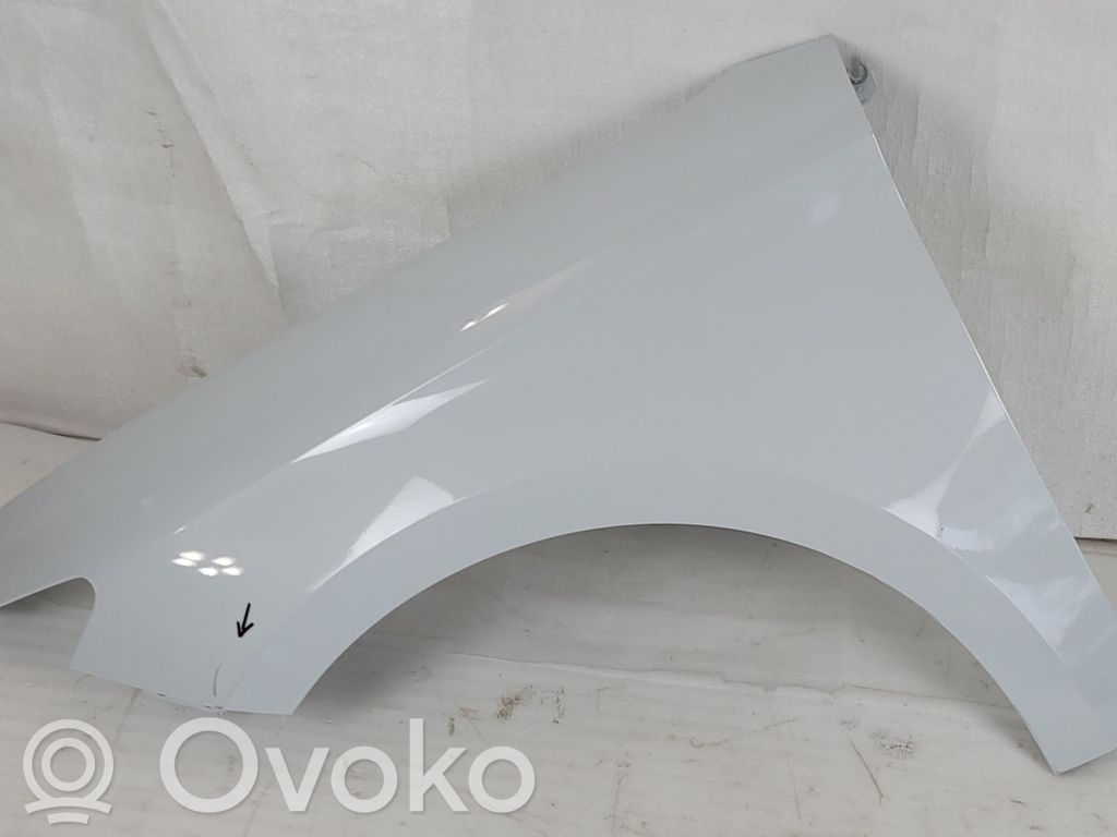 Guardabarro   5FA821115A