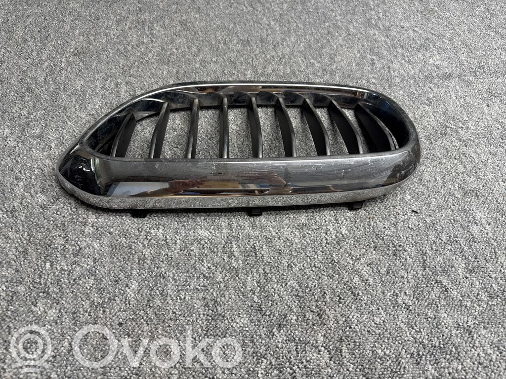 BMW 5 G30 G31 G38 Etusäleikkö 
