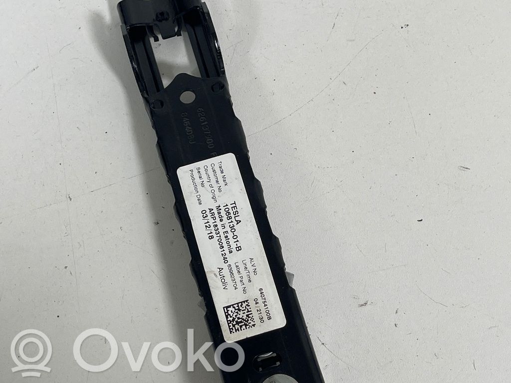 Tesla Model 3 Sicherheitsgurthöhenversteller 