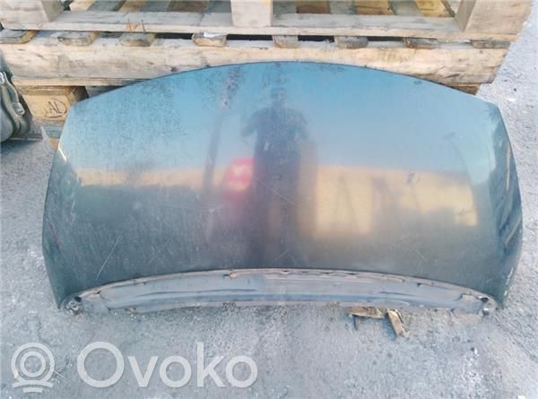 Engine bonnet/hood