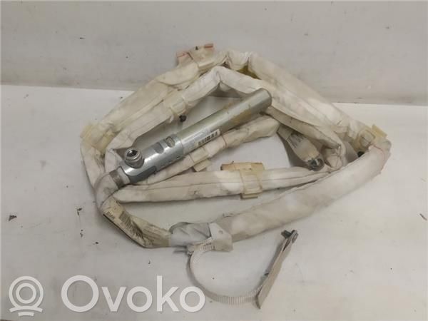 Side airbag   857033768119
