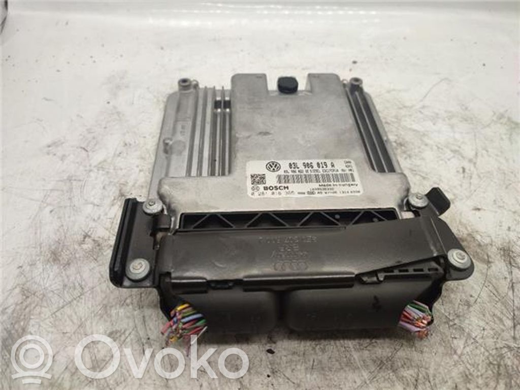 Inne komputery / moduły / sterowniki   0281016365,0281016365,281016365,0281016365,281016365