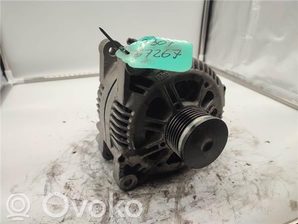 Peugeot 307 Alternador 