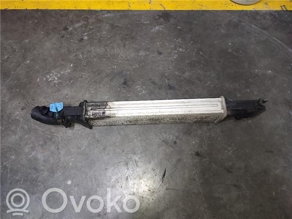 Radiador intercooler