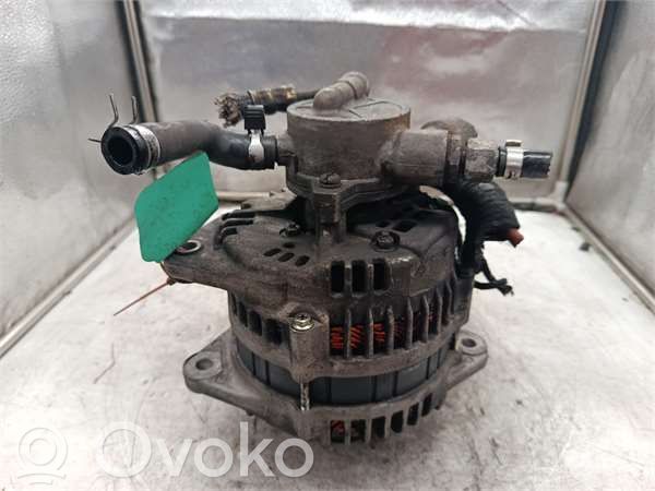 Alternator   6204183,6204183
