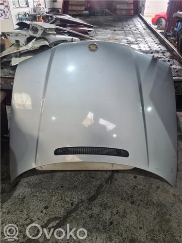 Engine bonnet/hood