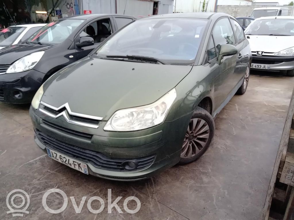 Citroen C4 I Puerta delantera 
