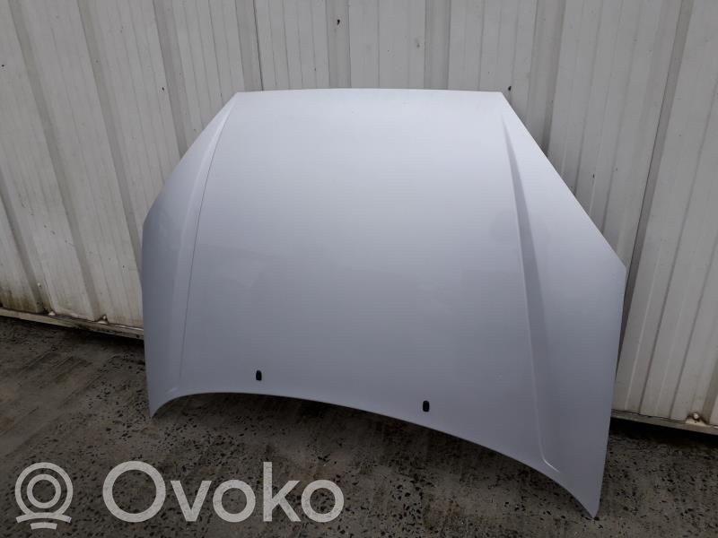 Ford Focus Dangtis variklio (kapotas) 