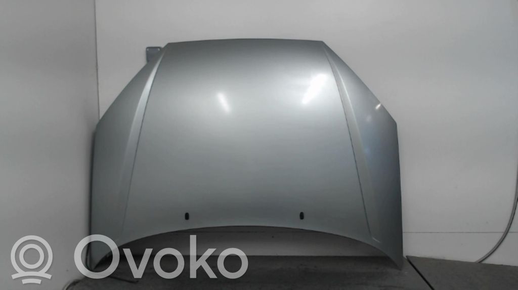 Ford Focus Dangtis variklio (kapotas) 