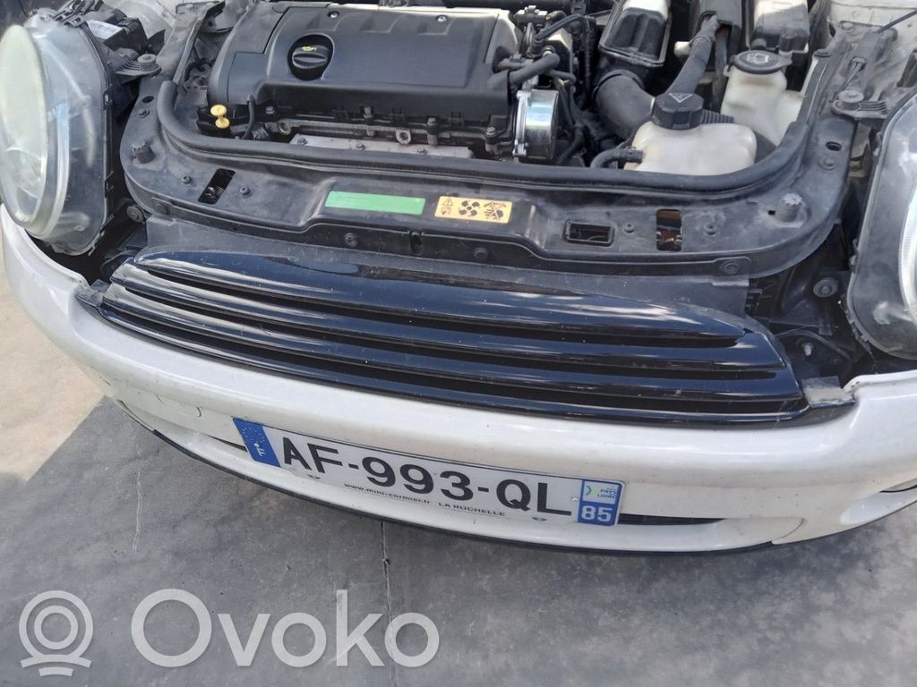Mini One - Cooper R56 Priekšējais režģis 