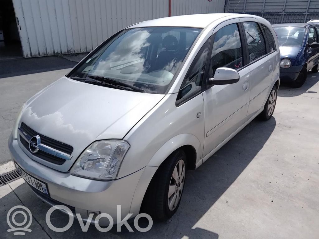 Opel Meriva A Puerta delantera 
