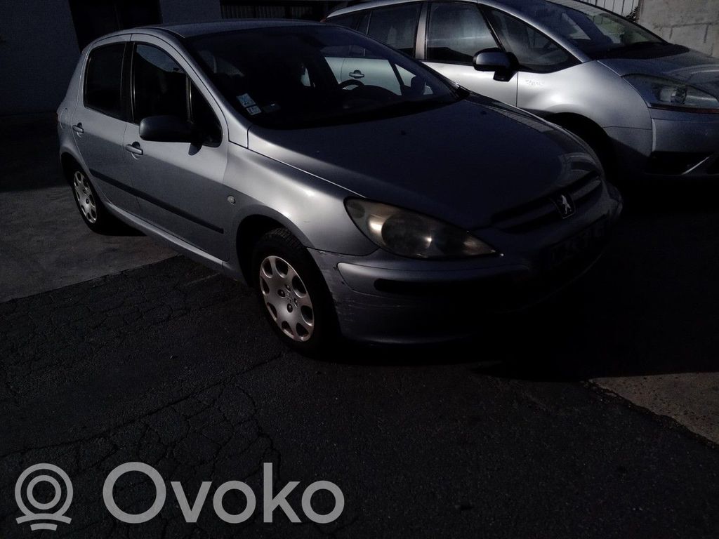 Peugeot 307 Sun visor 