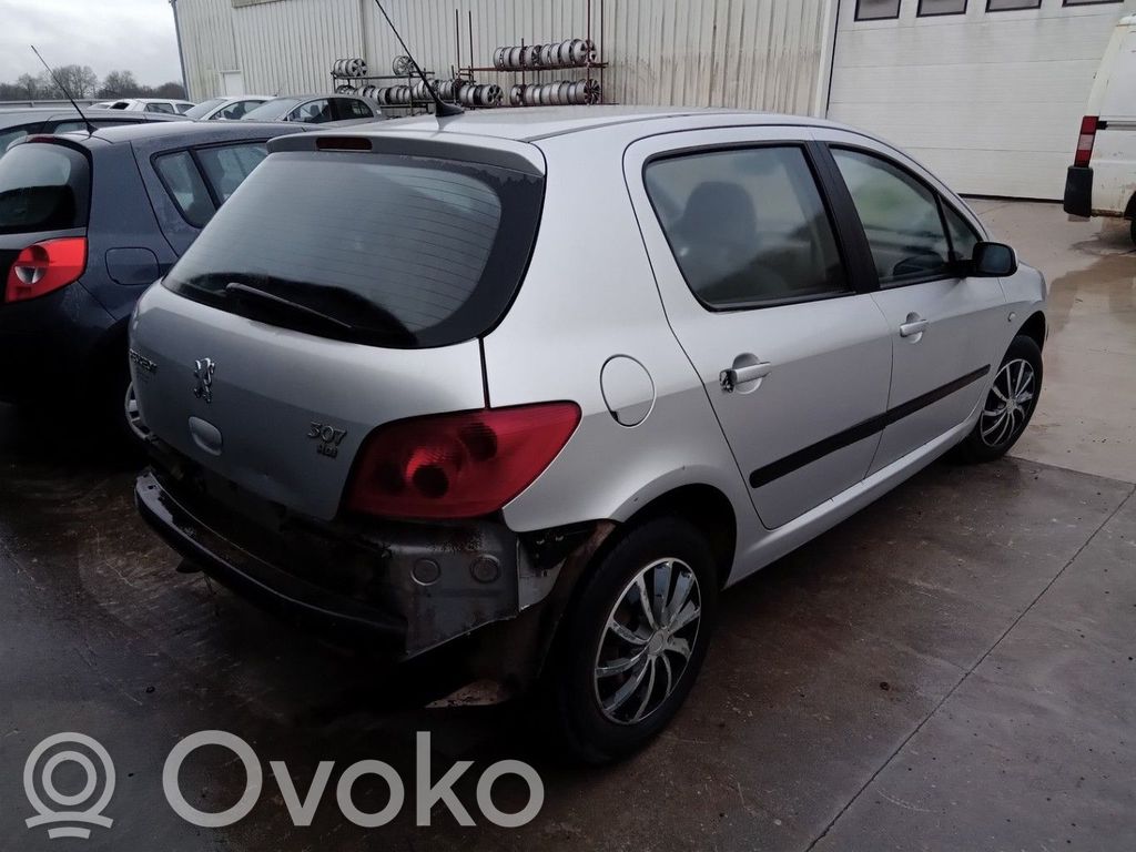 Peugeot 307 Third/center stoplight 