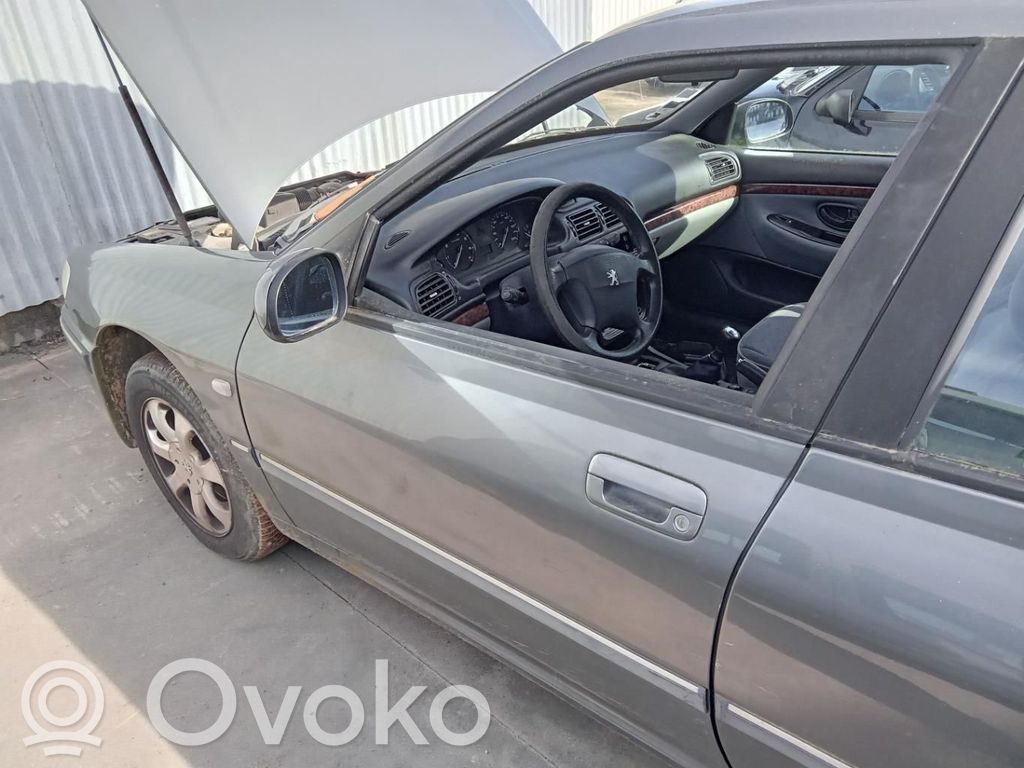 Peugeot 406 Puerta delantera 
