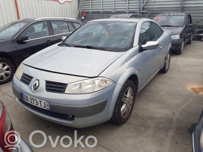 Renault Megane II Durvis 
