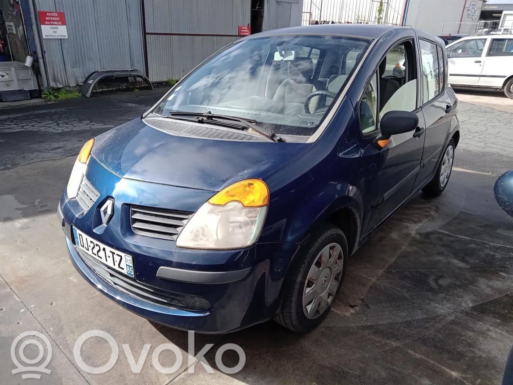 Renault Modus Durvis 