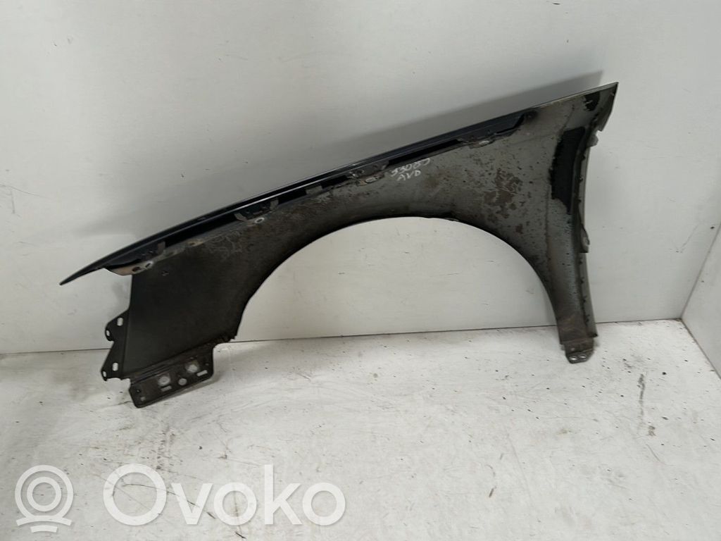 Volkswagen PASSAT B6 Lokasuoja 