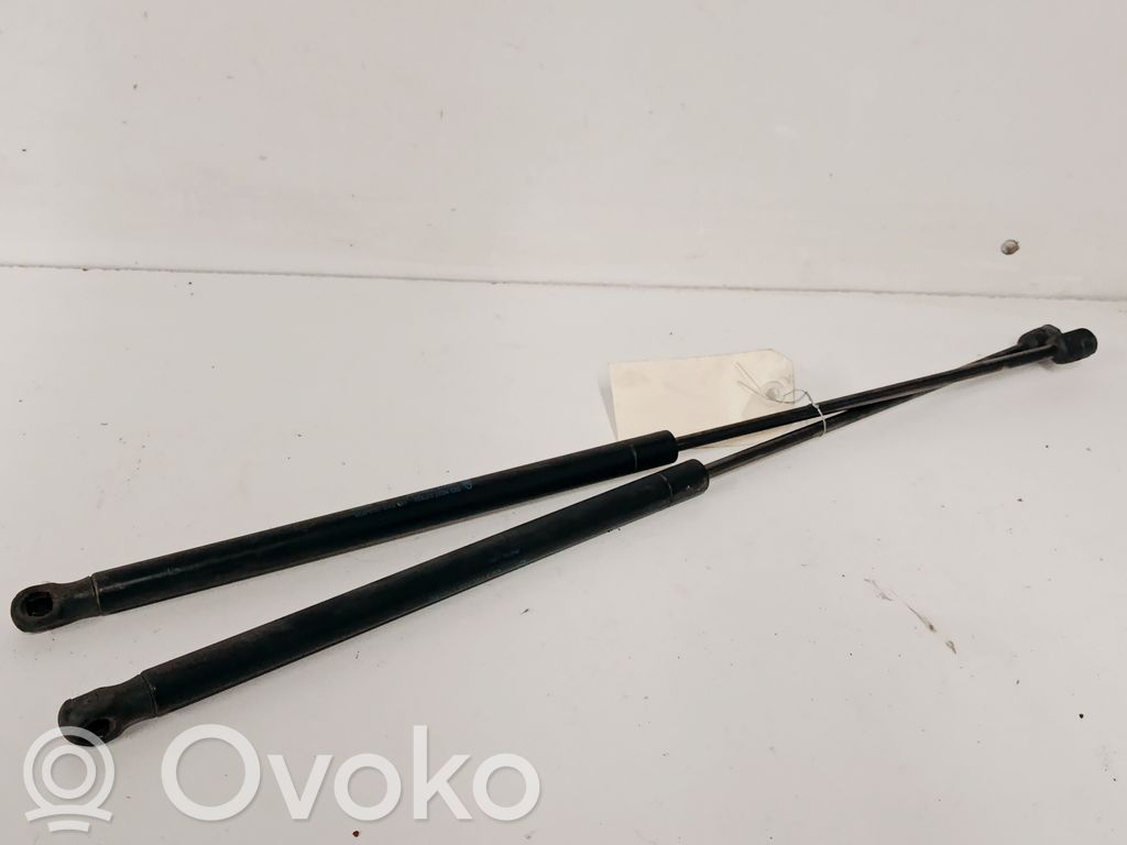 Ford Focus Tailgate/trunk strut/damper 
