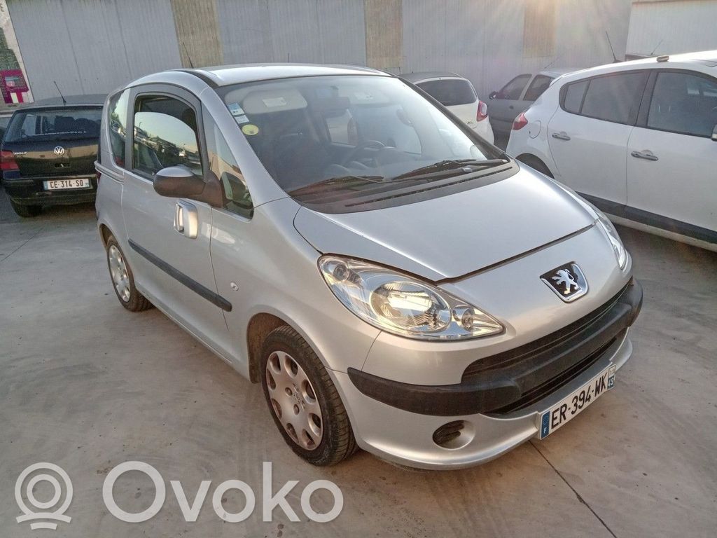 Peugeot 1007 Ammortizzatore anteriore con molla elicoidale 