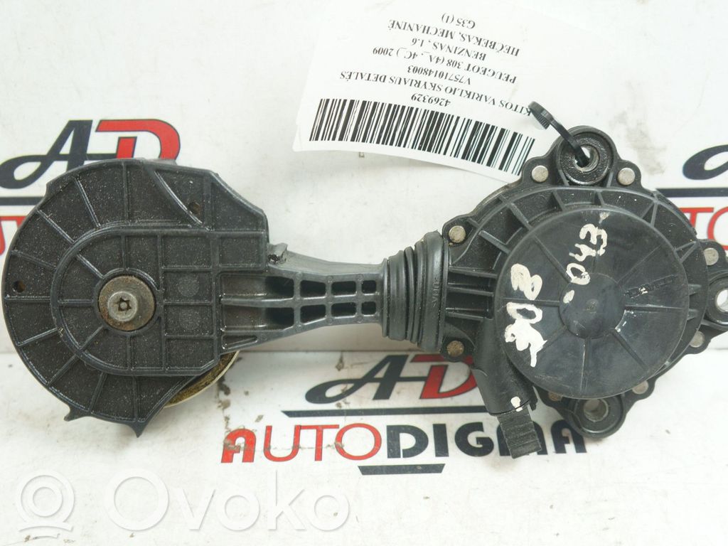 Peugeot 308 Napinacz paska wielorowkowego / Alternatora 