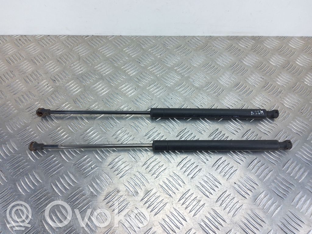 Tailgate/trunk strut/damper