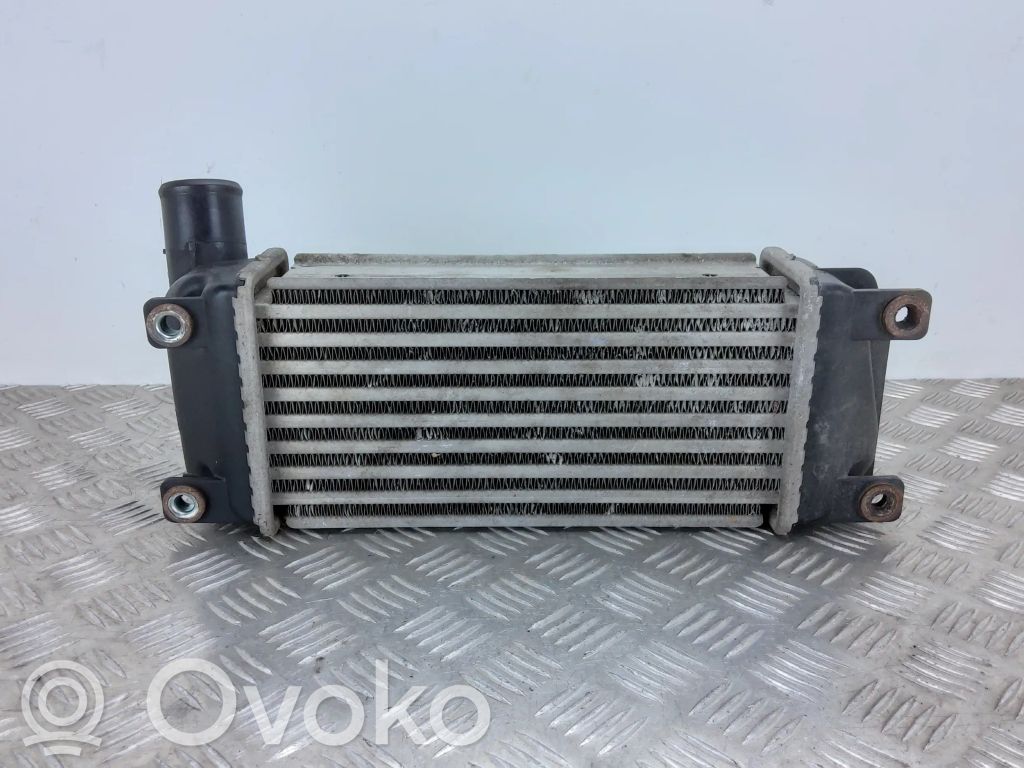 Interkūlerio radiatorius   JD1271004210