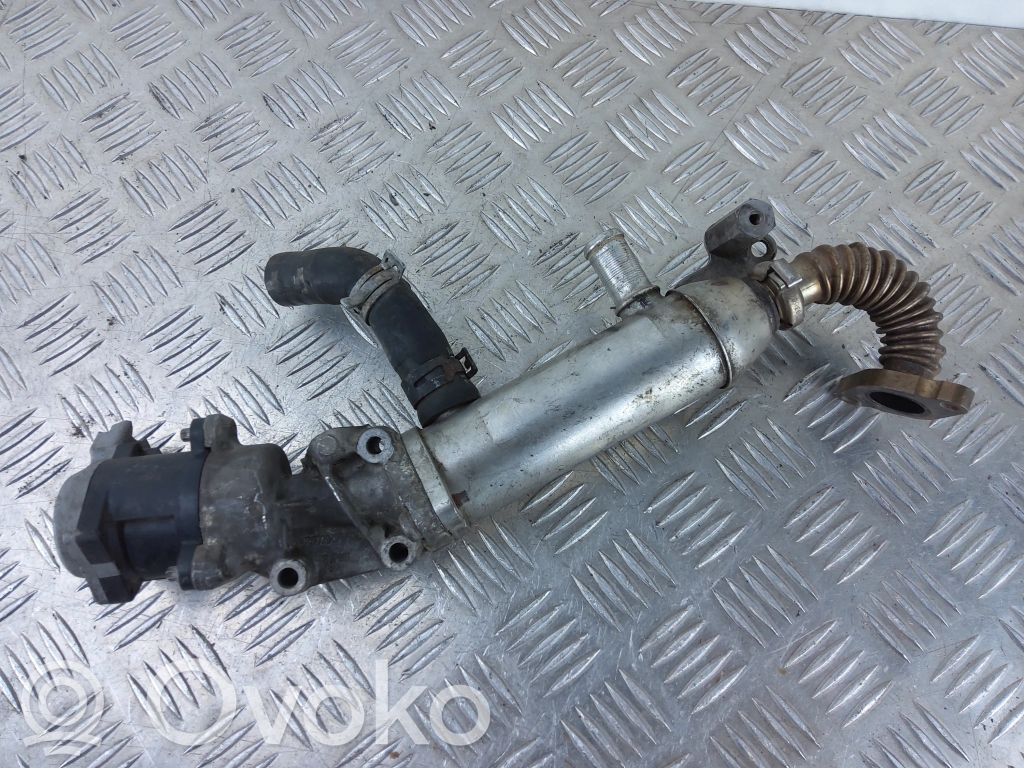 Peugeot 407 Refrigerador de la válvula EGR 