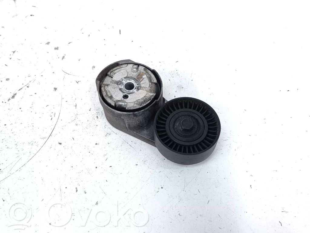 Chrysler Town & Country V Napinacz paska wielorowkowego / Alternatora 