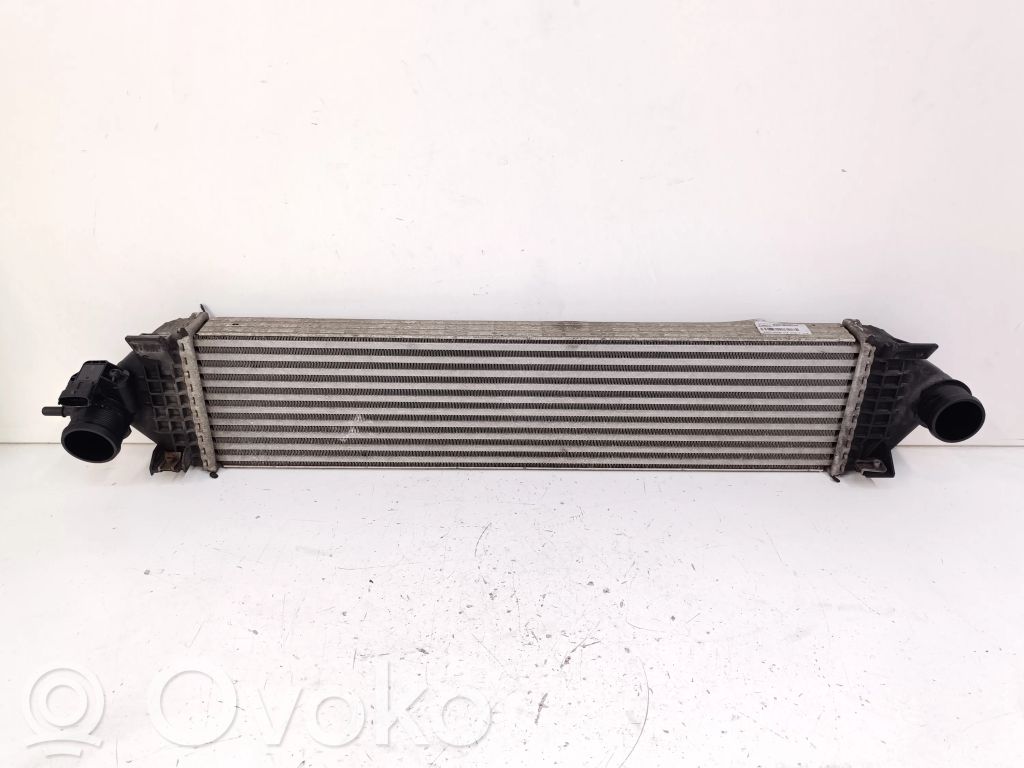 Interkūlerio radiatorius   BV619L440AF,W2712006