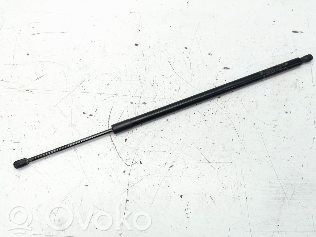 Chrysler Pacifica Tailgate strut 