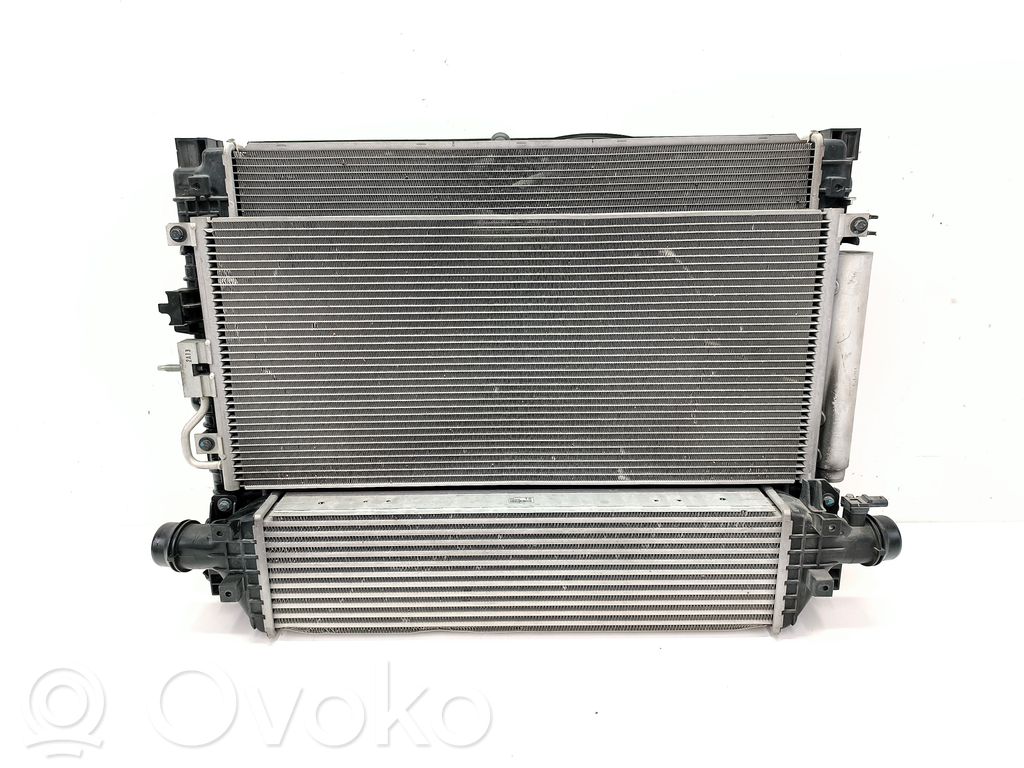 Radiator set   42806373,95406939