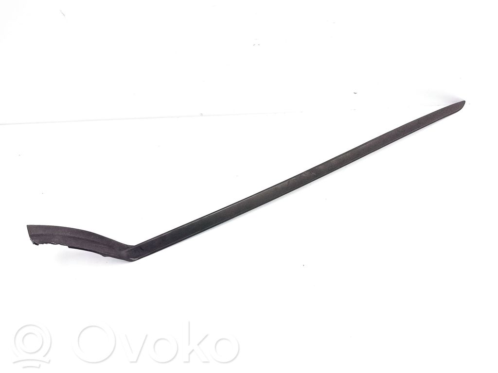 Windshield trim   31448939