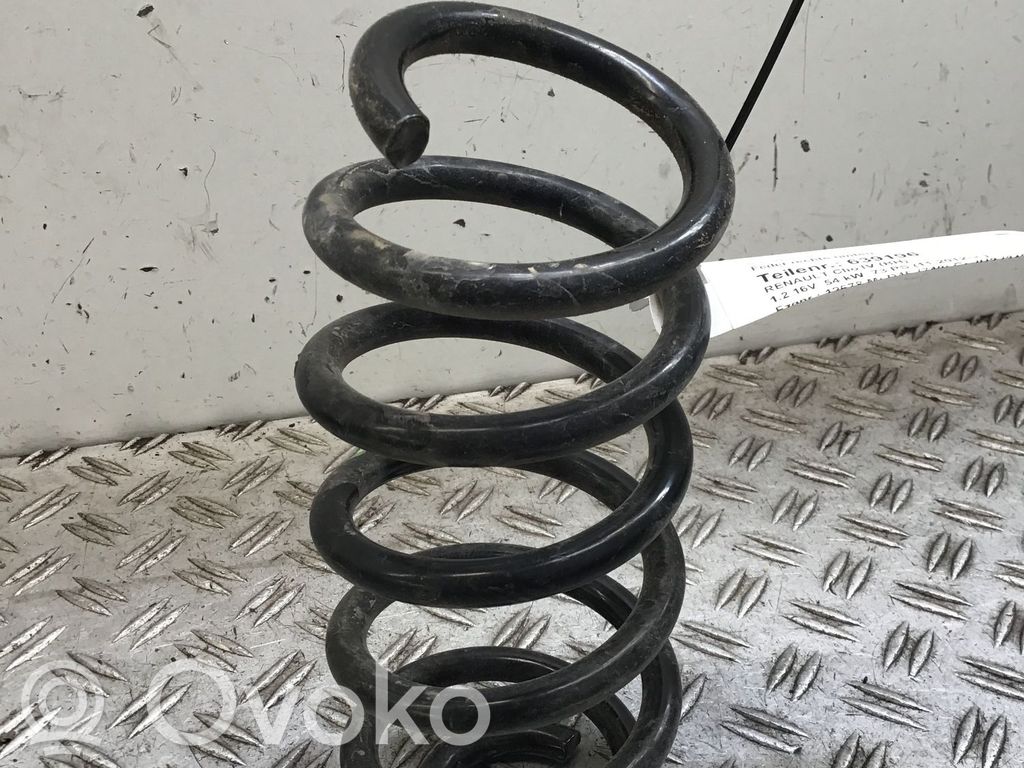 Rear coil spring