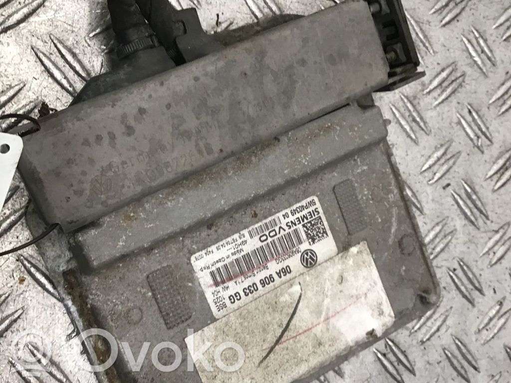 Engine control unit/module   06A906033GG