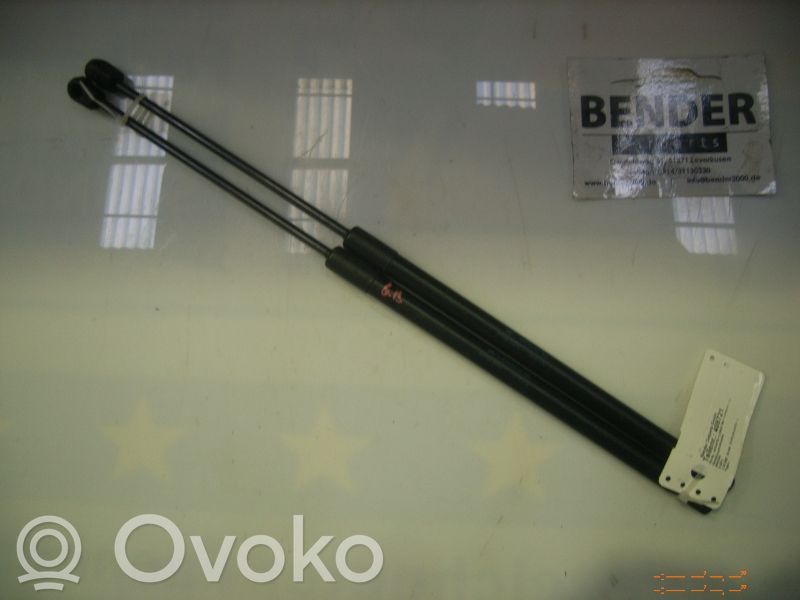 Tailgate/trunk strut/damper   3M71A406A10AD