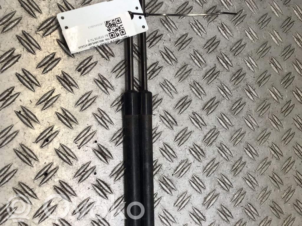 Tailgate/trunk strut/damper