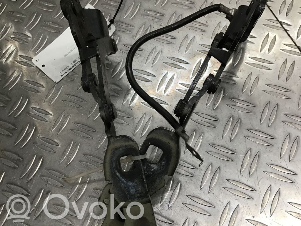 BMW 1 E81 E87 Cerniere del vano motore/cofano 