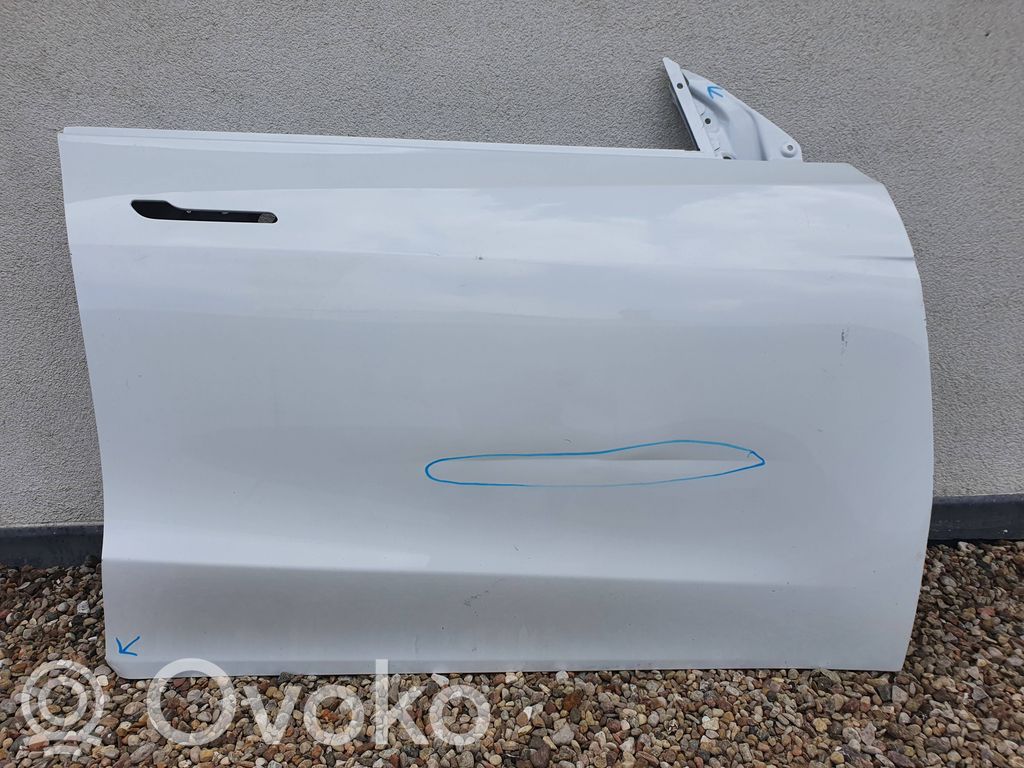 Tesla Model Y Puerta delantera 