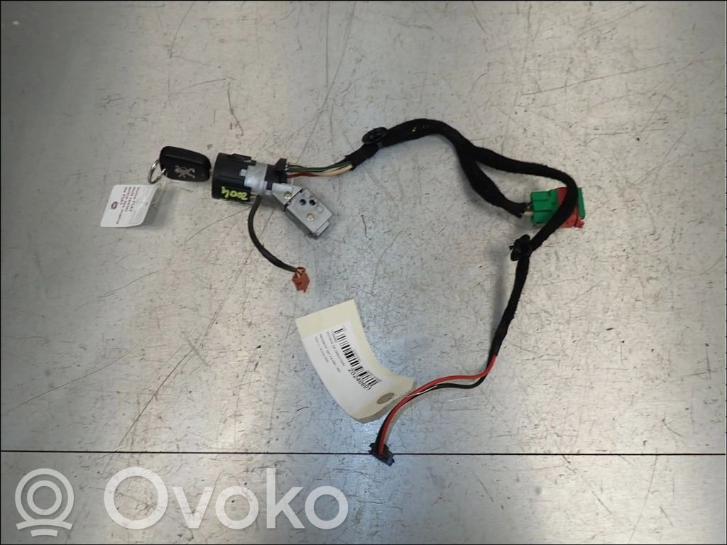 Peugeot 307 Steering wheel lock 