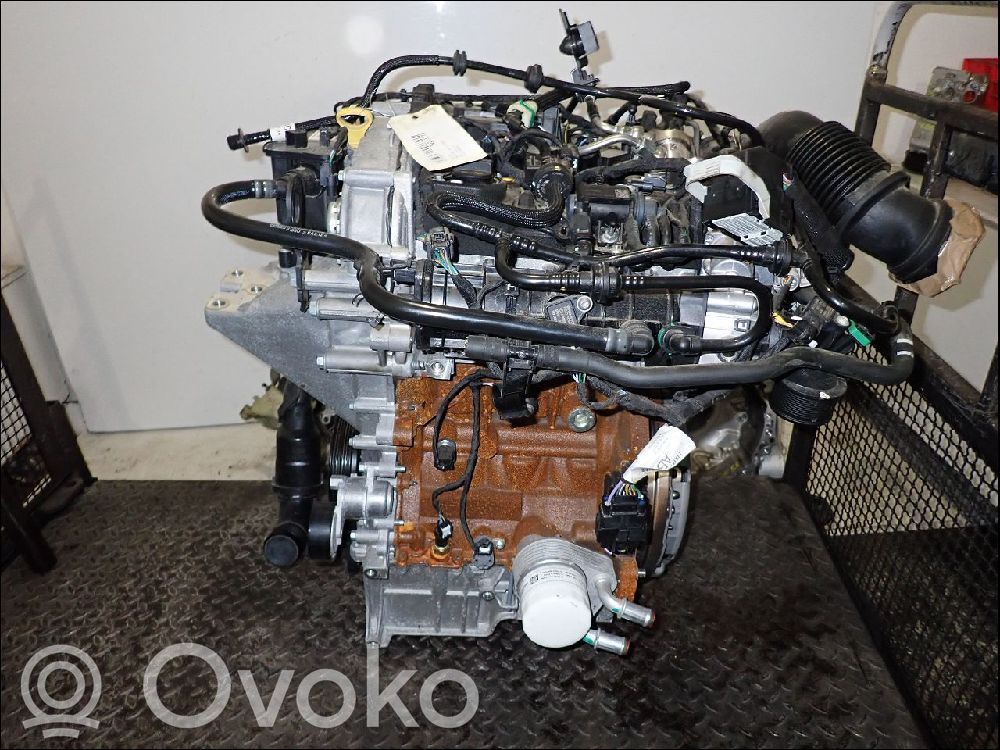 Variklis   2521467