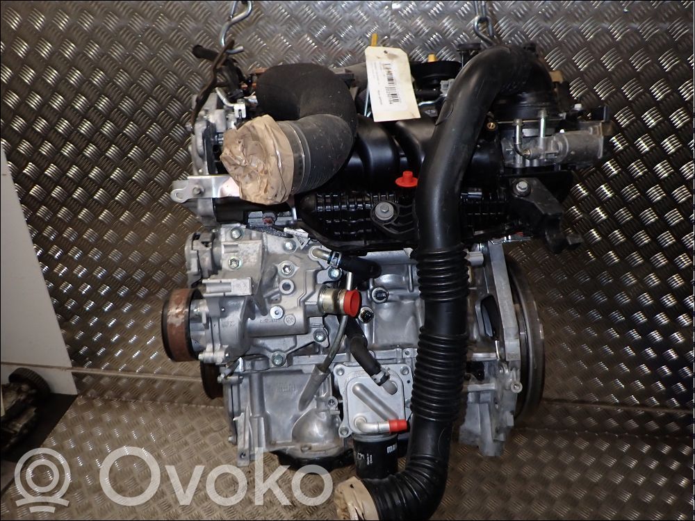 Engine   101024714R
