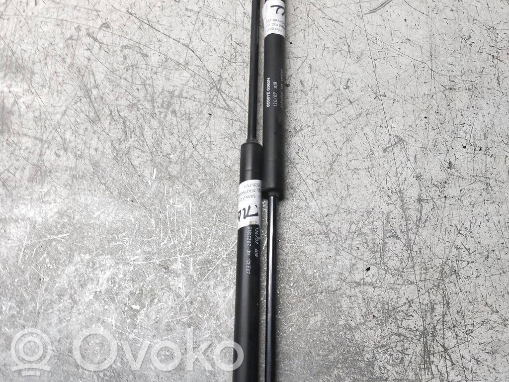Fiat Bravo Tailgate/trunk strut/damper 