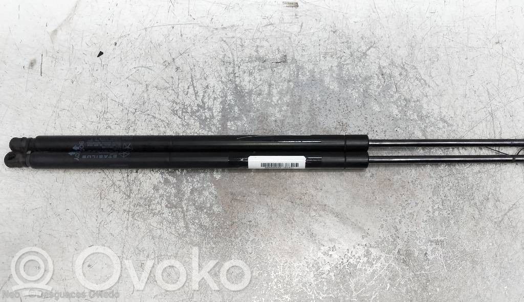 Chrysler Voyager Amortyzator klapy tylnej bagażnika 