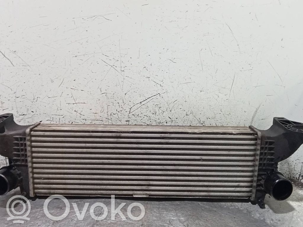Interkūlerio radiatorius   5802036825EA