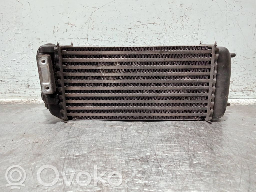 Peugeot 206 Intercooler radiator 