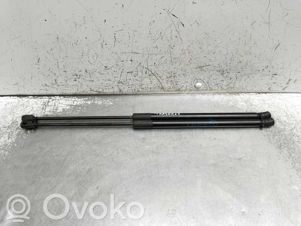 Ford Fiesta Tailgate/trunk strut/damper 