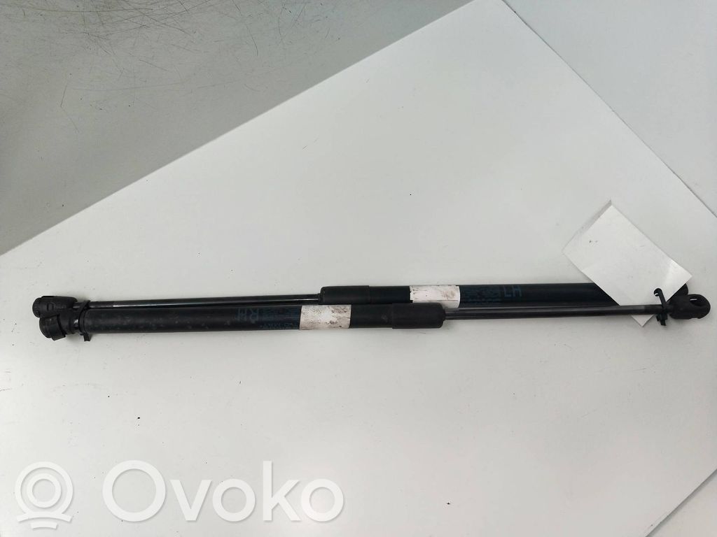 Tailgate/trunk strut/damper