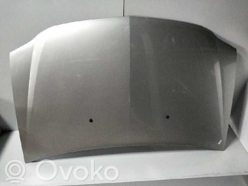 Engine bonnet/hood